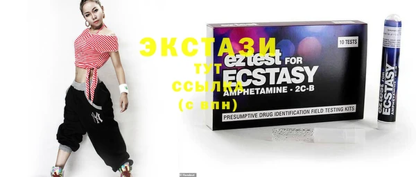 ECSTASY Алзамай