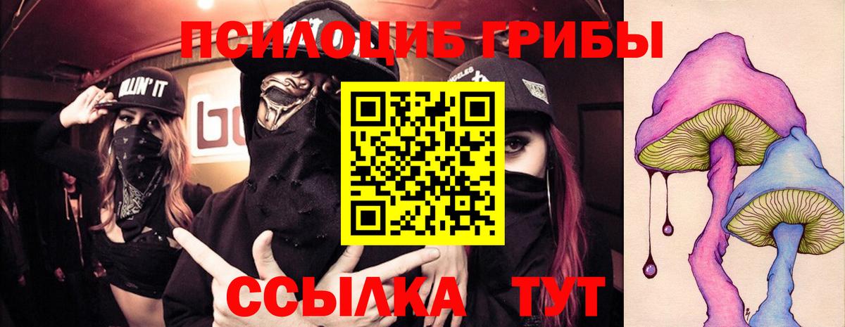 Кызыл  Псилоцибиновые грибы мицелий  Вход с VPN  Галлюциногенные грибы прущие грибы 