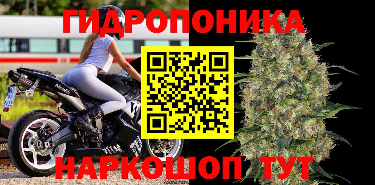 Марихуана SATIVA & INDICA  Шишки марихуана конопля  Кызыл  Шишки марихуана VHQ  Бошки Шишки VHQ  Вход с VPN 